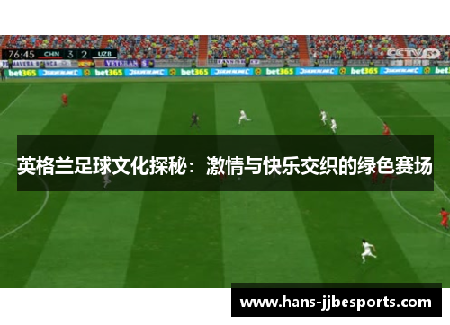 英格兰足球文化探秘：激情与快乐交织的绿色赛场