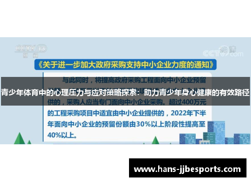 青少年体育中的心理压力与应对策略探索：助力青少年身心健康的有效路径
