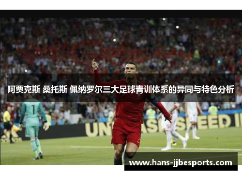 阿贾克斯 桑托斯 佩纳罗尔三大足球青训体系的异同与特色分析
